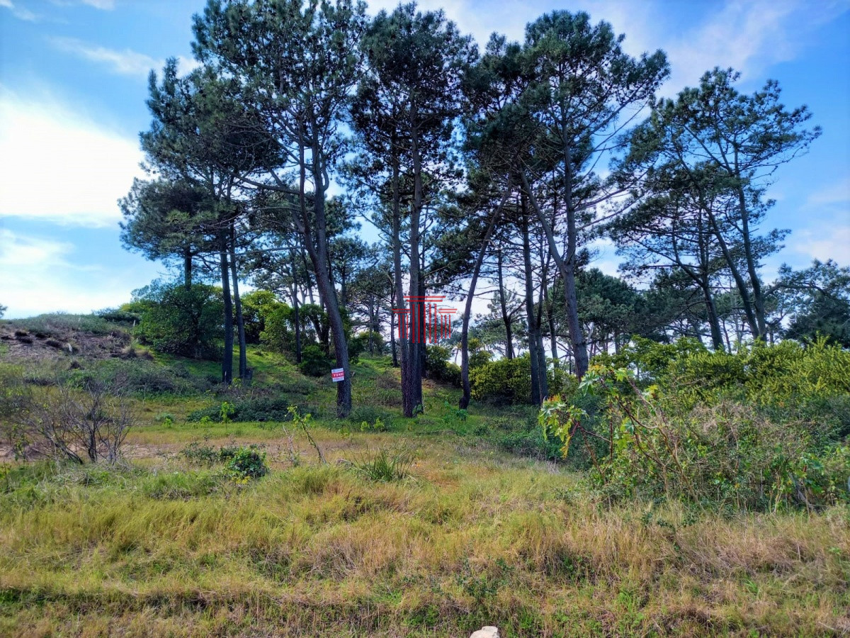 Apartamento ID.13188 - Terreno en venta, Punta del Este Uruguay