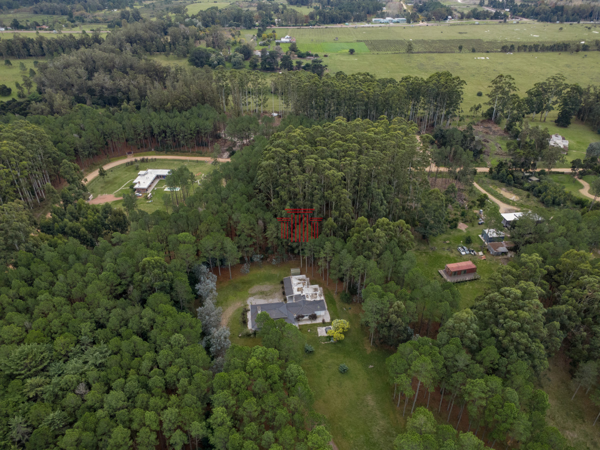 Terreno ID.14021 - Muy Buen lote totalmente forestado