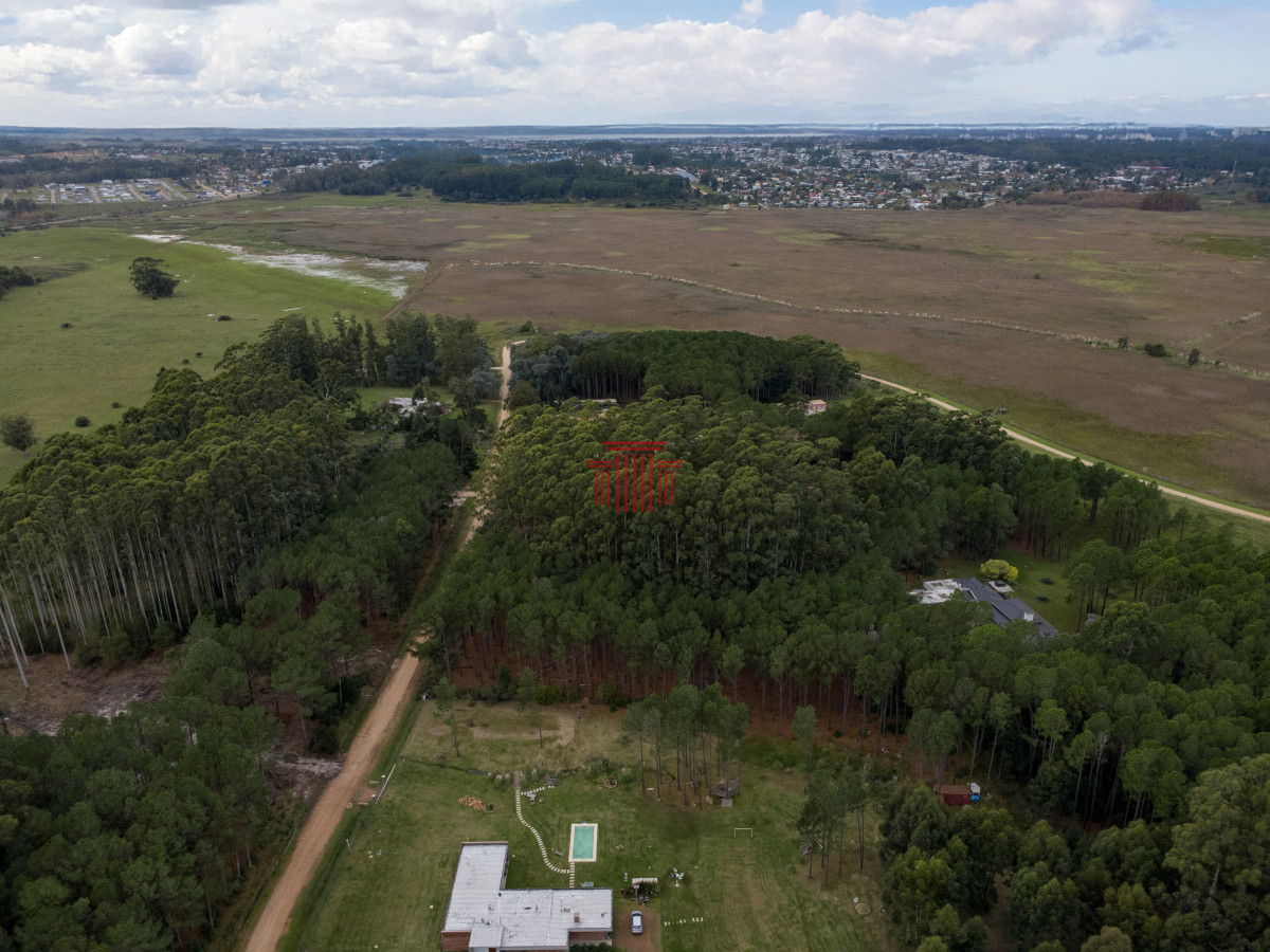 Terreno ID.14021 - Muy Buen lote totalmente forestado