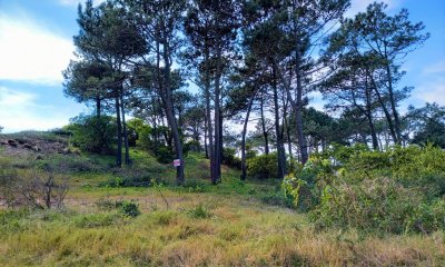 Terreno en venta - Rincon del Indio