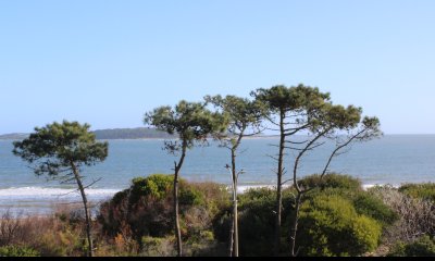 Apartamento en Primera Linea en Venta de Tres Dormitorios en Playa Mansa