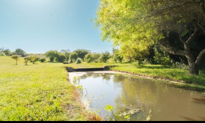 Chacra en venta Punta del Este, Lomas de San Vicente