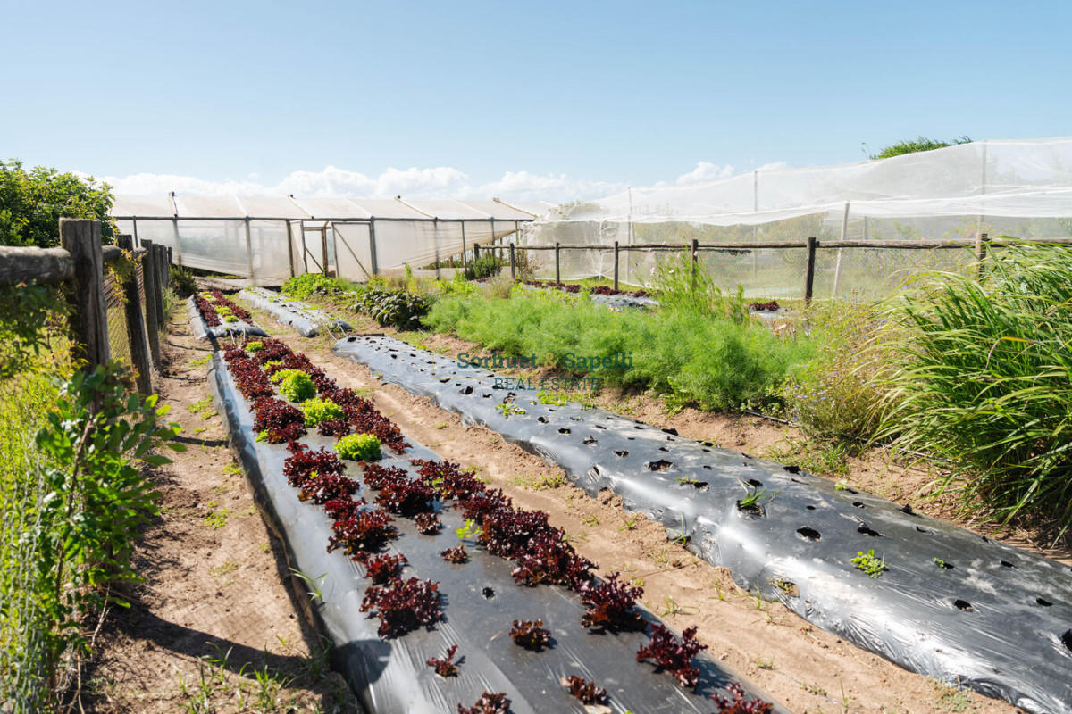 Venta-Terreno-en-Lomas-de-San-Vicente,-Punta-del-Este