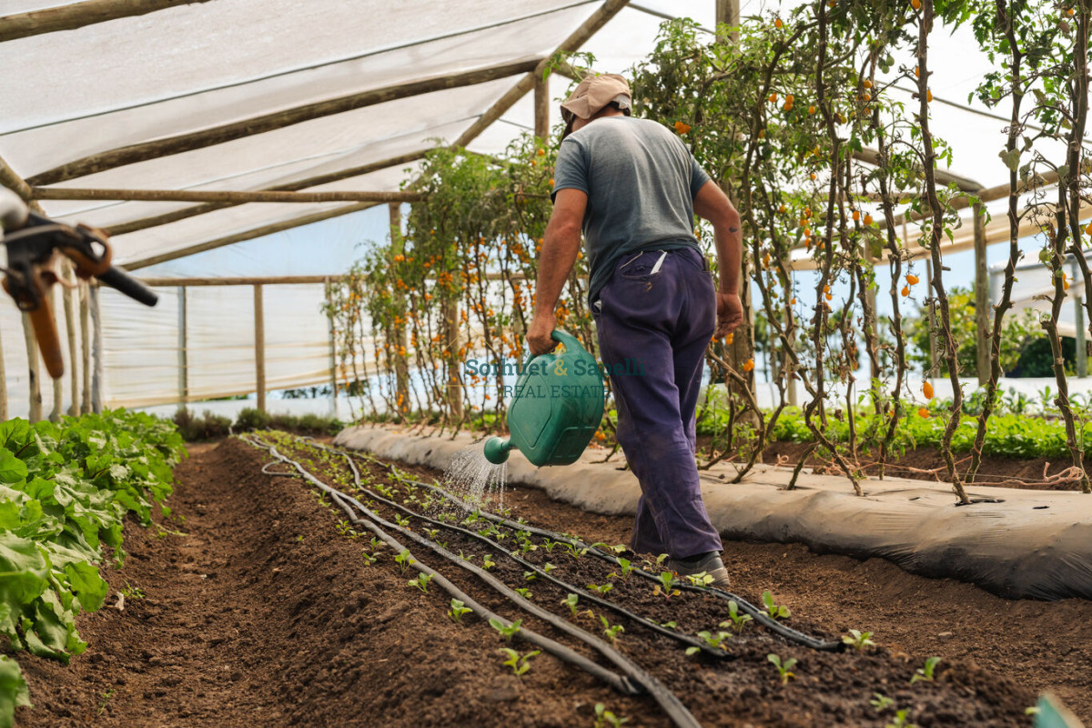 Venta-Terreno-en-Lomas-de-San-Vicente,-Punta-del-Este