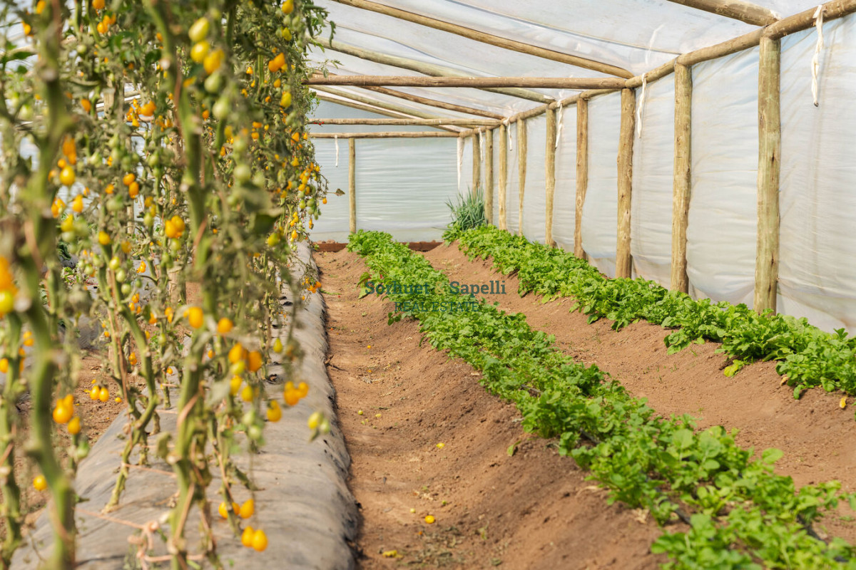 Venta-Terreno-en-Lomas-de-San-Vicente,-Punta-del-Este