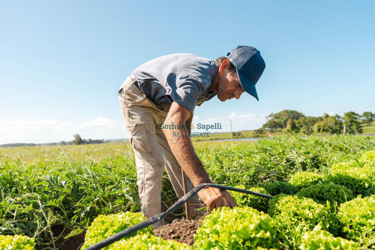 Venta-Terreno-en-Lomas-de-San-Vicente,-Punta-del-Este