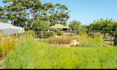 Venta Terreno en Lomas de San Vicente, Punta del Este