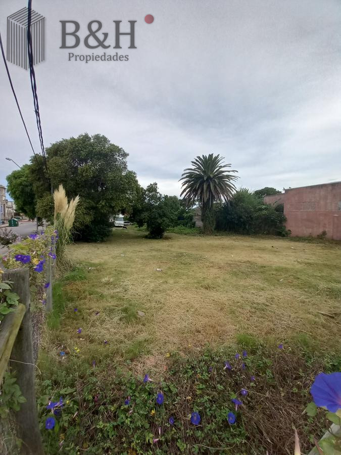 Terreno ID.5347 - terreno esquinero en maldonado 