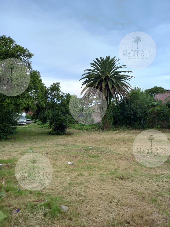 Terreno ID.2623 - terreno esquinero en maldonado 