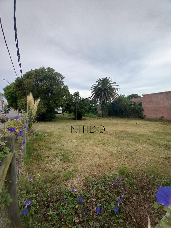 Terreno ID.7 - terreno esquinero en maldonado 