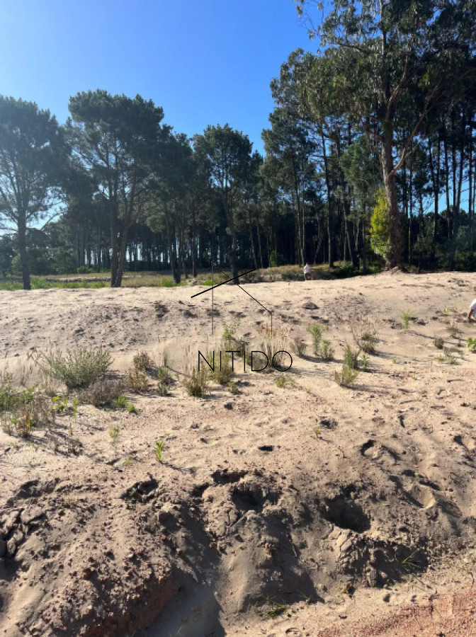 Terreno ID.302 - Terreno en Altos de Burnett