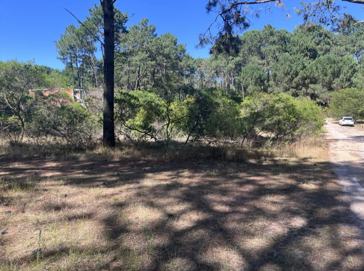 Terreno ID.499 - Terreno a pasos de la laguna del sauce 