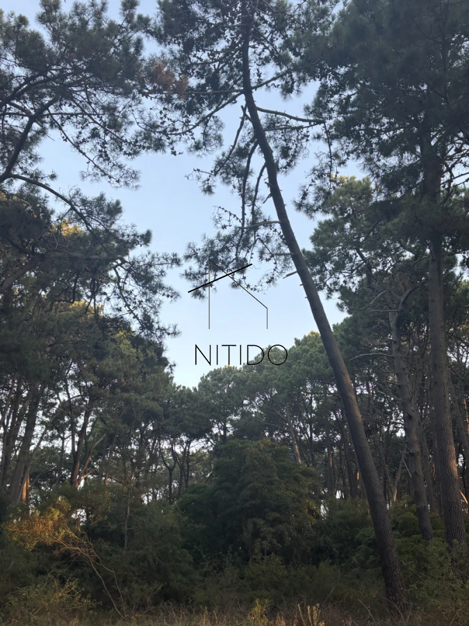 Terreno ID.507 - Terreno apto para desarrollo en playa brava 