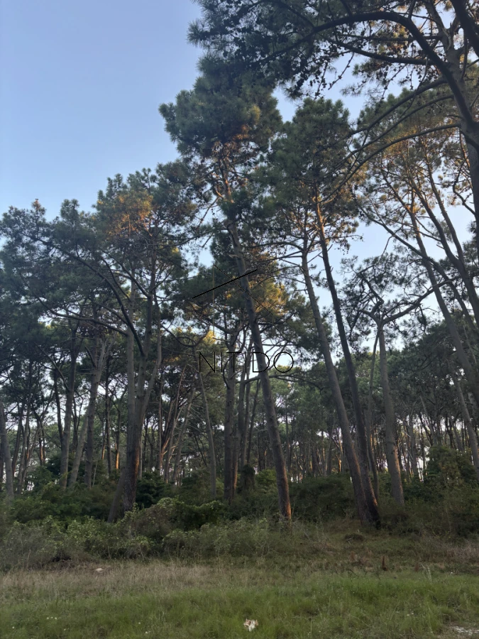 Terreno ID.507 - Terreno apto para desarrollo en playa brava 