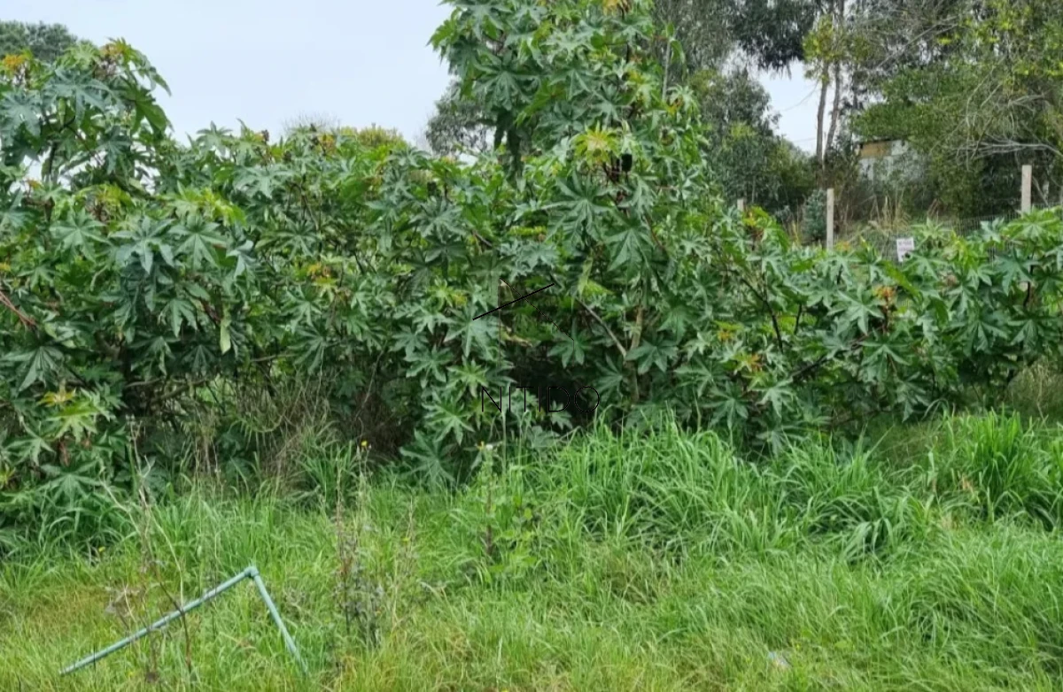 Terreno ID.491 - Terreno a pasos de la playa en balneario buenos aires 