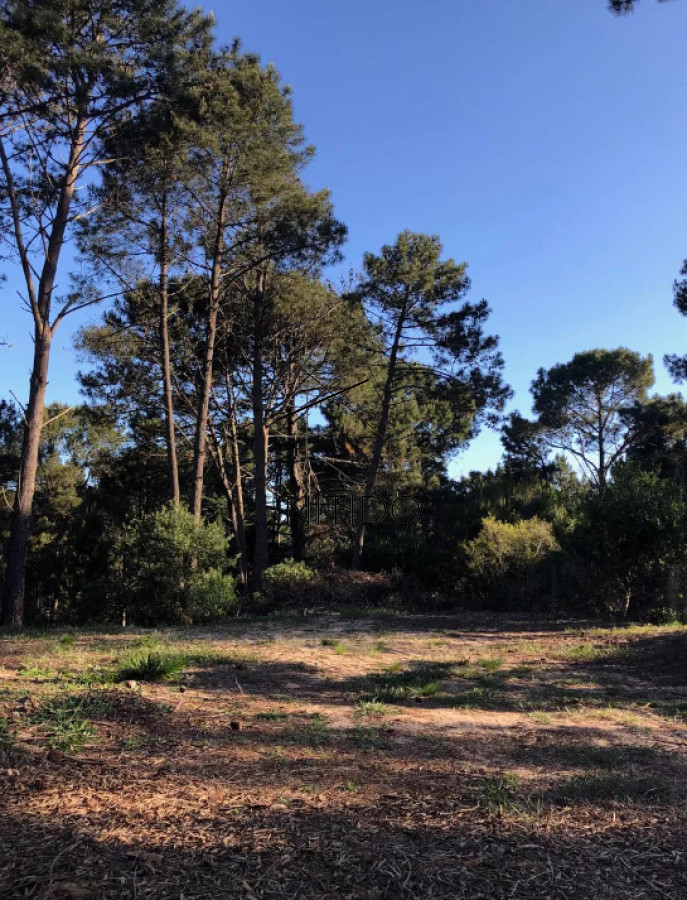 Terreno ID.492 - Terreno en club del lago 