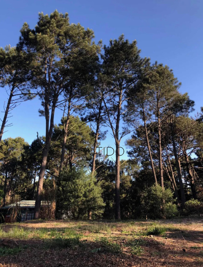 Terreno ID.492 - Terreno en club del lago 