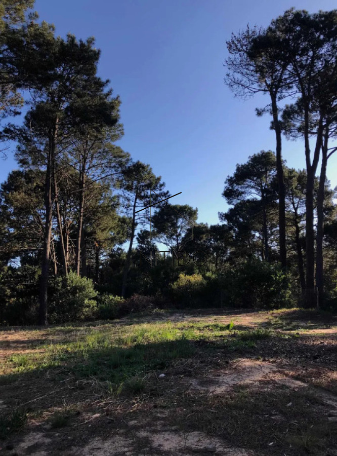 Terreno ID.492 - Terreno en club del lago 