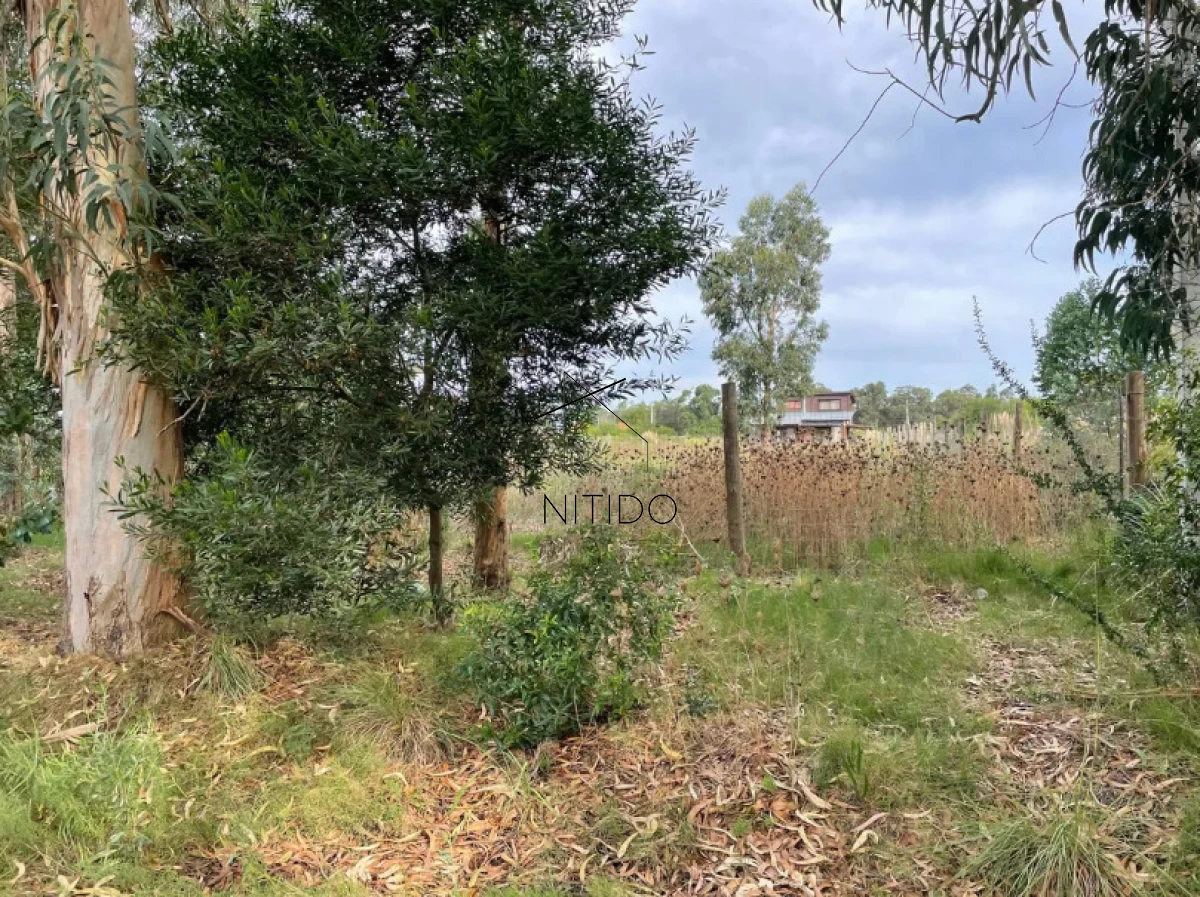 Terreno ID.275 - Terreno en Barra de Portezuelo 