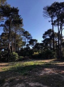 Terreno en Club del Lago 