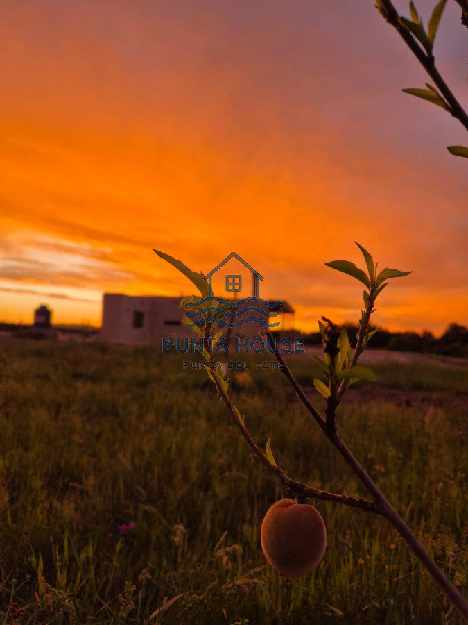 Chacra ID.17 - CHACRA EN ALQUILER DE TEMPORADA