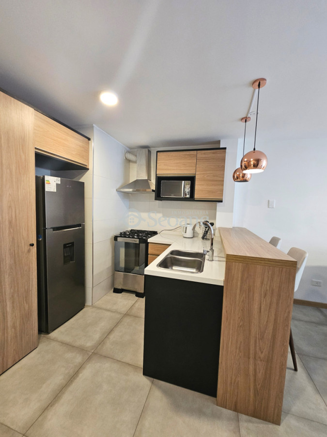 Apartamento ID.528 - Chucarro y Av Brasil, Amoblado, terraza al frente y garaje