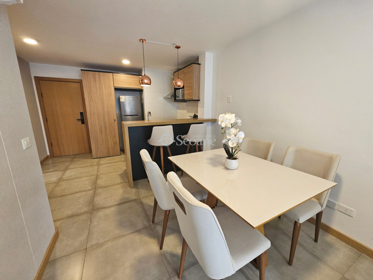 Apartamento ID.528 - Chucarro y Av Brasil, Amoblado, terraza al frente y garaje