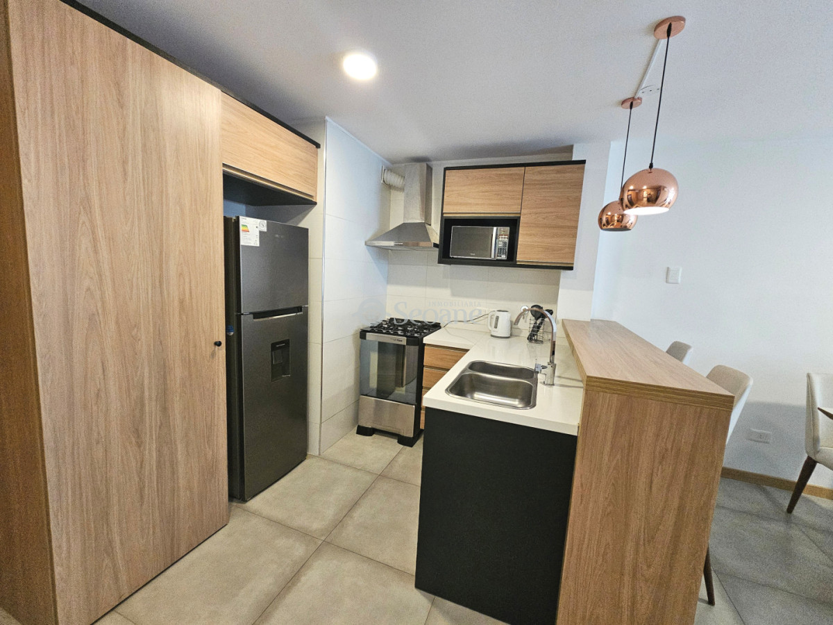 Apartamento ID.528 - Chucarro y Av Brasil, Amoblado, terraza al frente y garaje