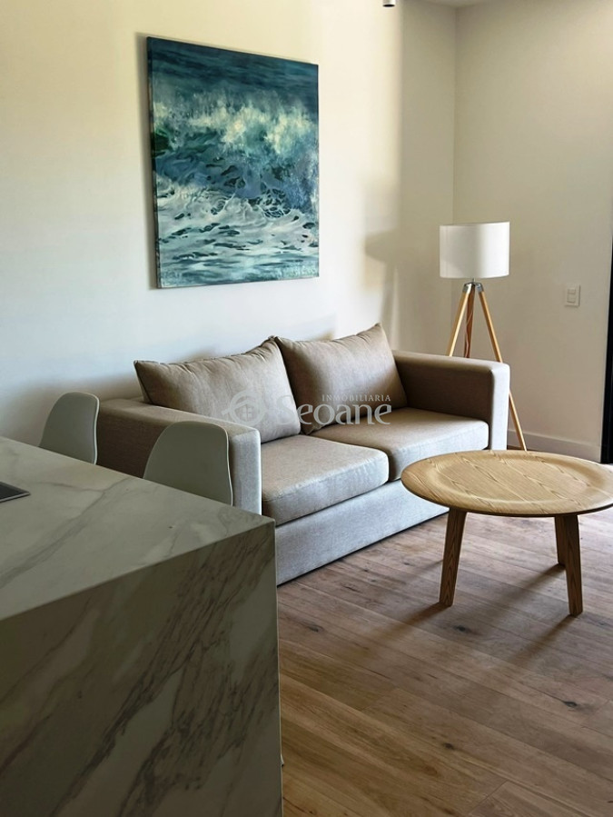 Apartamento ID.314 - Well - Lagos - Equipado, Parrillero Y Garaje - Amenities