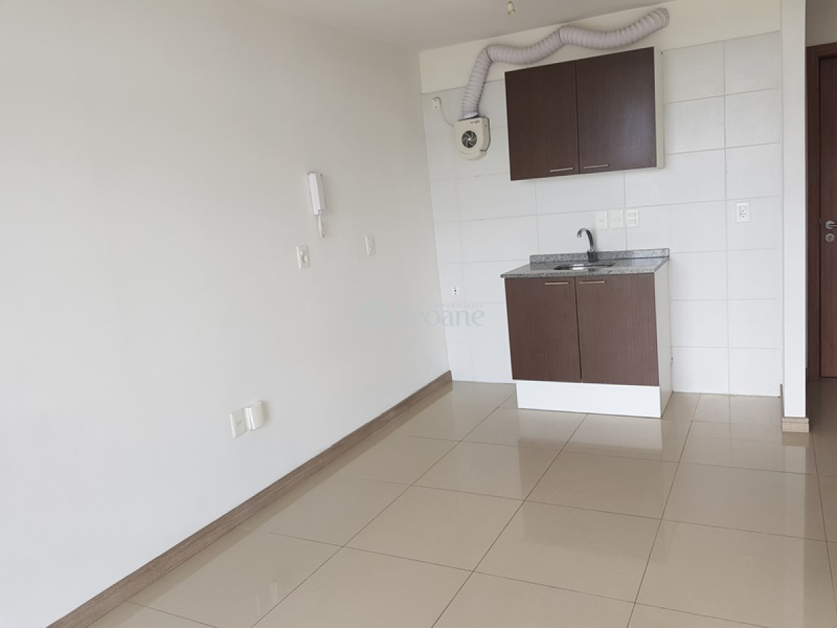 Apartamento ID.401 - Luminoso, Moderno, Agraciada Y Vilardebó, Al Frente, Terraza
