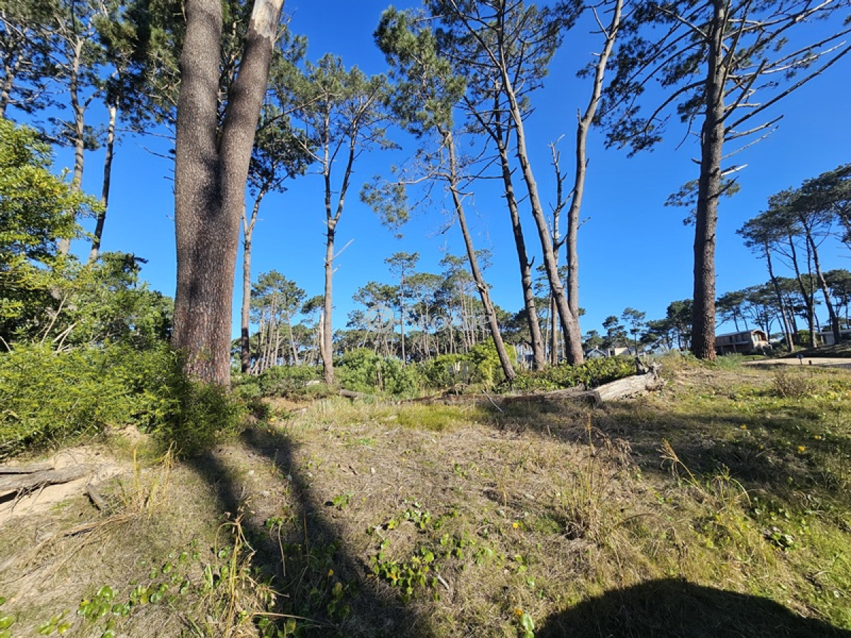 Terreno ID.203 - Reserva Montoya - Oportunidad. Excelente Lote Proximo A La Entrada