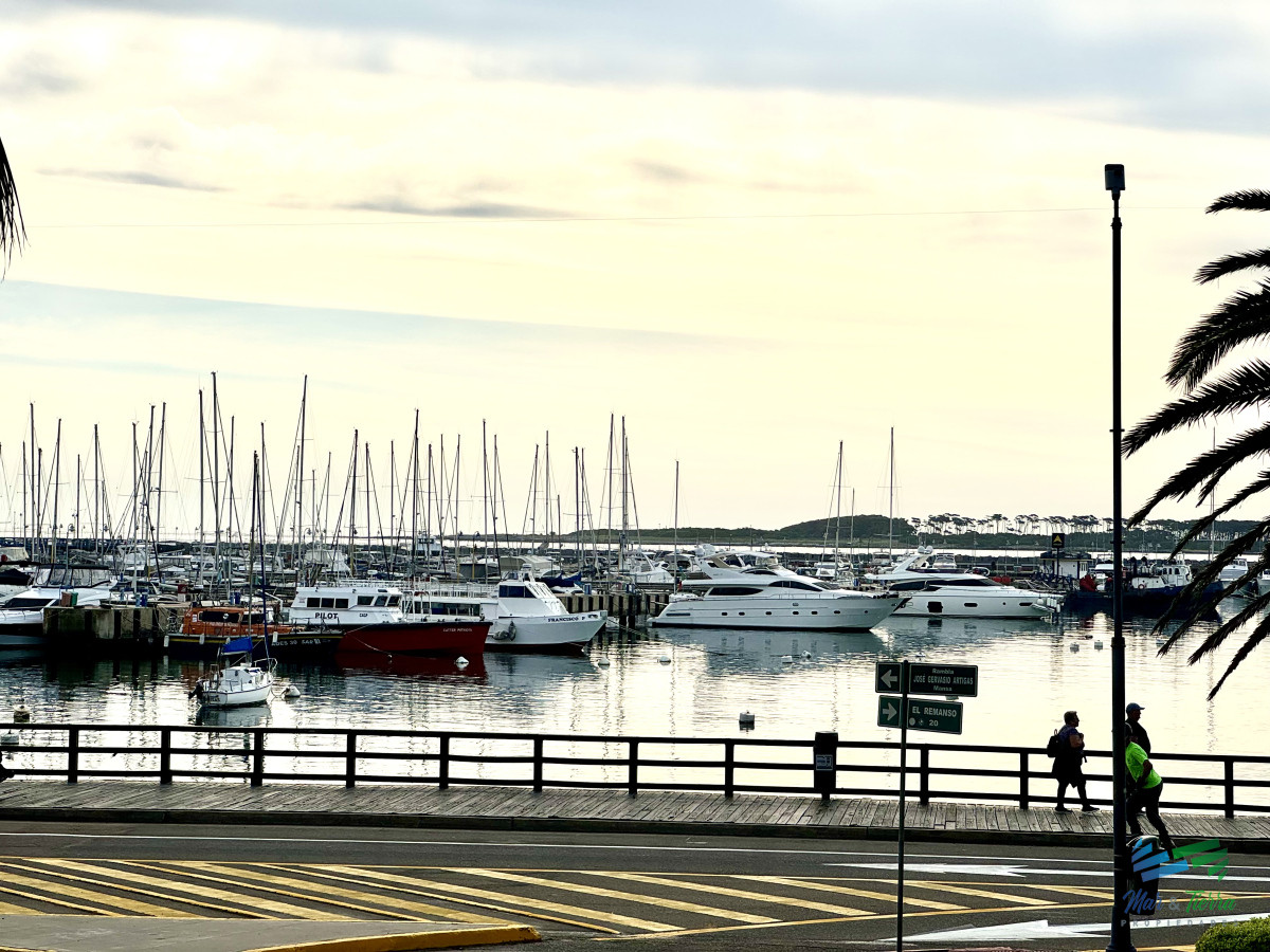 Península - GoPunta - Portal Inmobiliario de Punta del Este - Maldonado