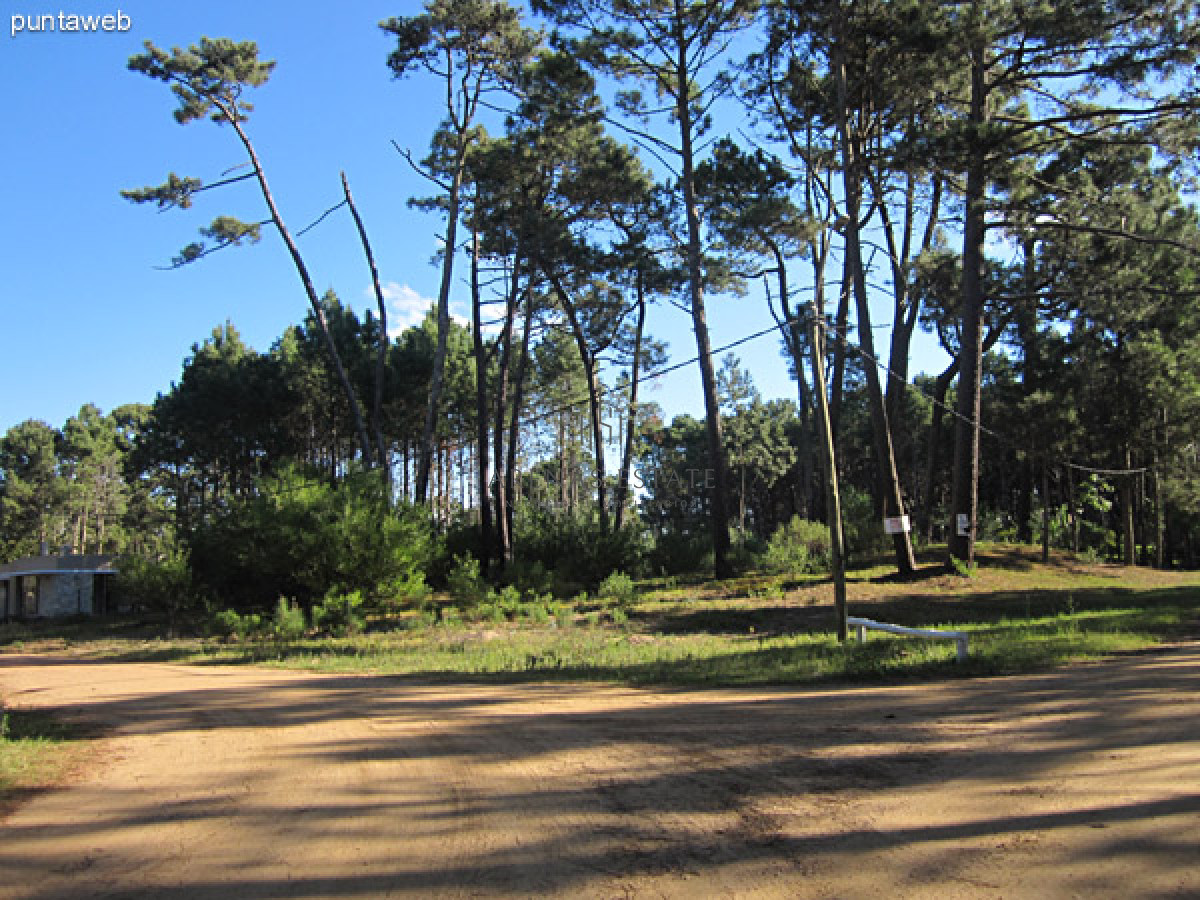Terreno ID.703 - Terreno a la venta en Pinares I Punta del Este 