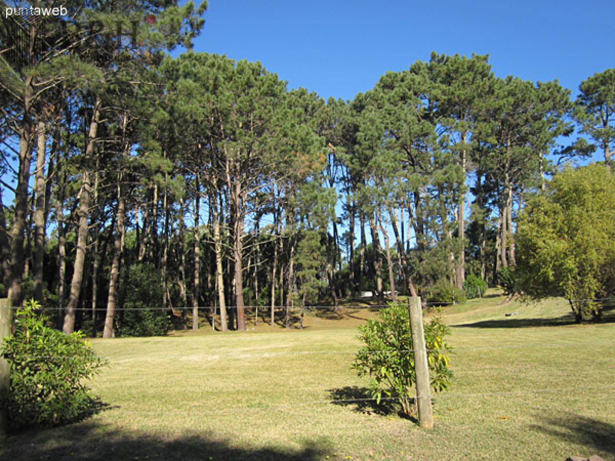 Pinares - GoPunta - Portal Inmobiliario de Punta del Este - Maldonado