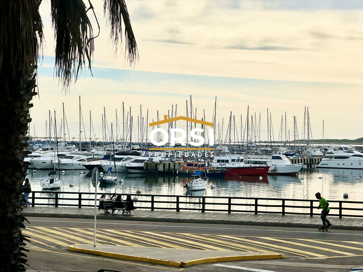 Apartamento ID.244 - puerto de punta del este, Primera línea 