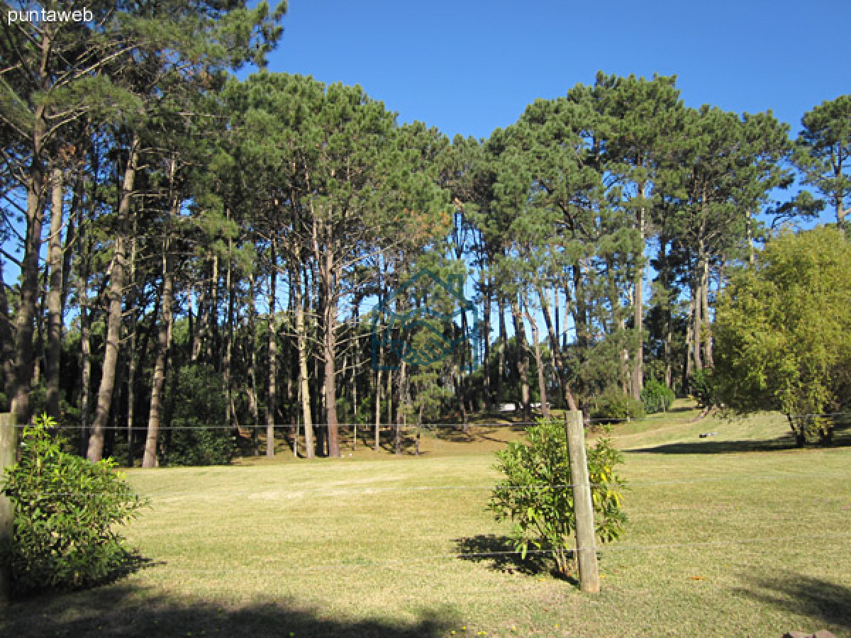 Terreno ID.480 - Terreno en Punta del Este, Pinares