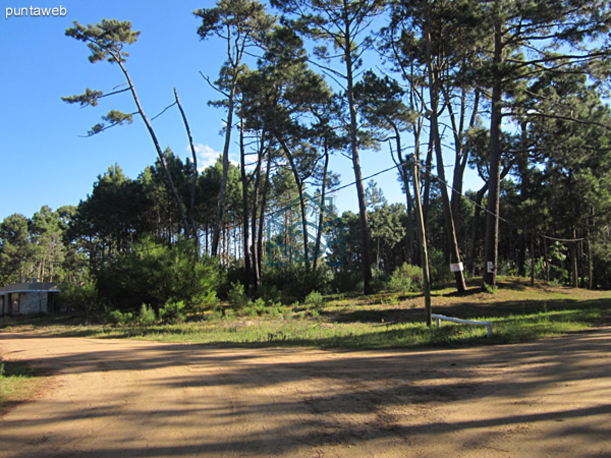 Terreno ID.480 - Terreno en Punta del Este, Pinares