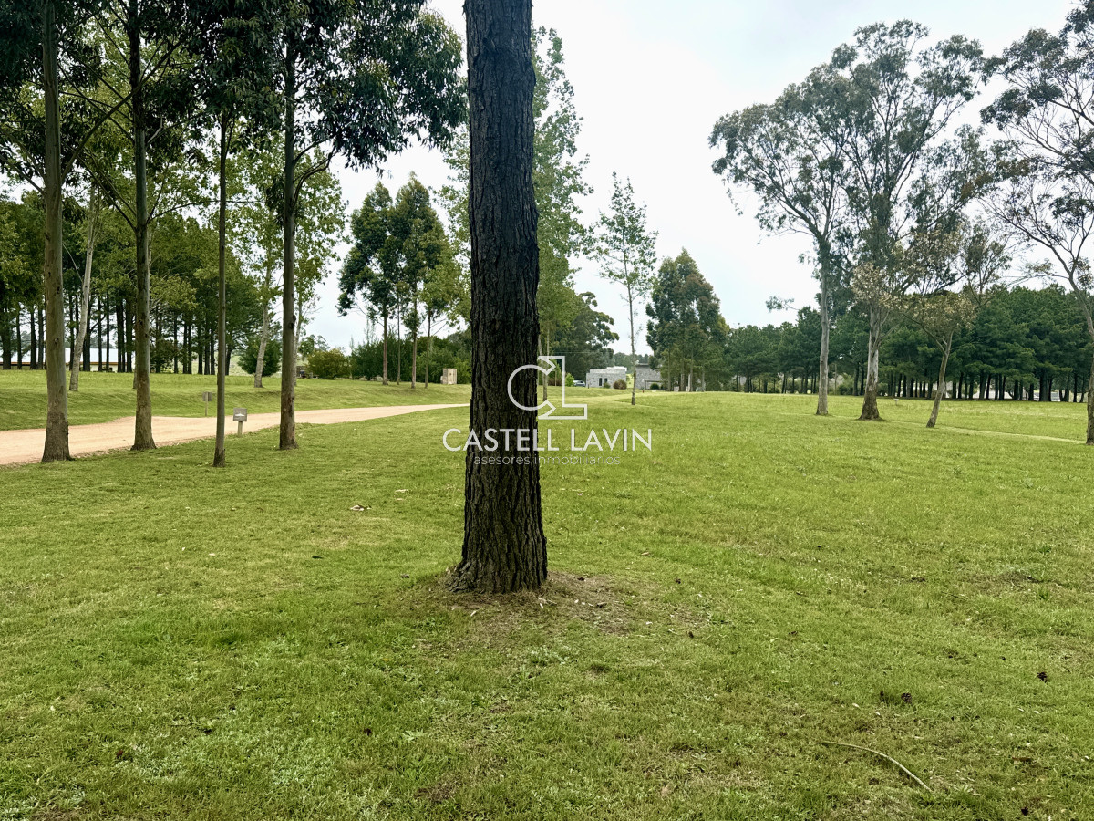 Terreno ID.402 - Venta Lote Hermoso de 5000 mtrs El Quijote La Barra