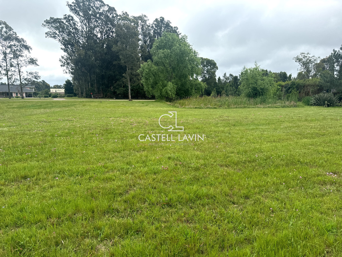 Terreno ID.402 - Venta Lote Hermoso de 5000 mtrs El Quijote La Barra