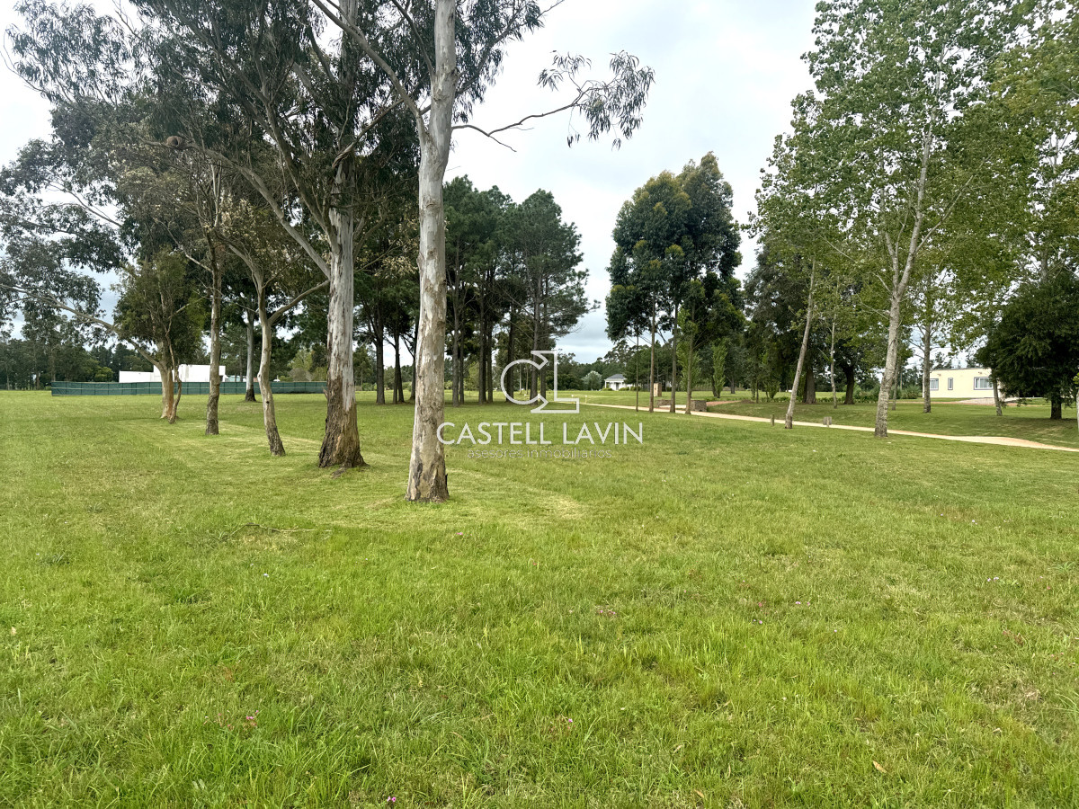 Terreno ID.402 - Venta Lote Hermoso de 5000 mtrs El Quijote La Barra