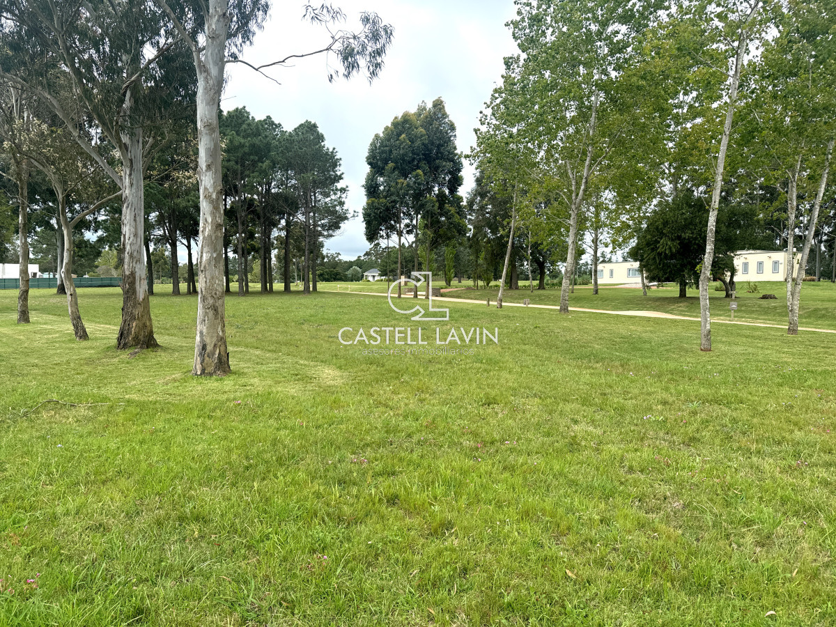 Terreno ID.402 - Venta Lote Hermoso de 5000 mtrs El Quijote La Barra