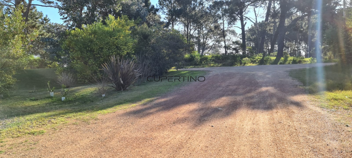 Casa en Punta Ballena, Tio Tom — foto 15