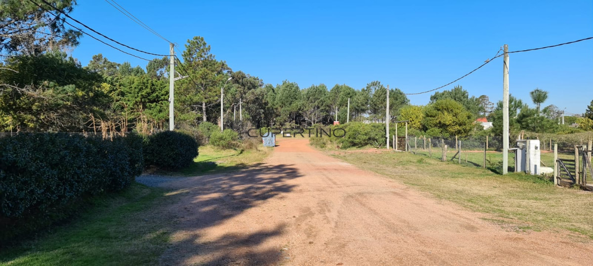Casa en Punta Ballena, Tio Tom — foto 23