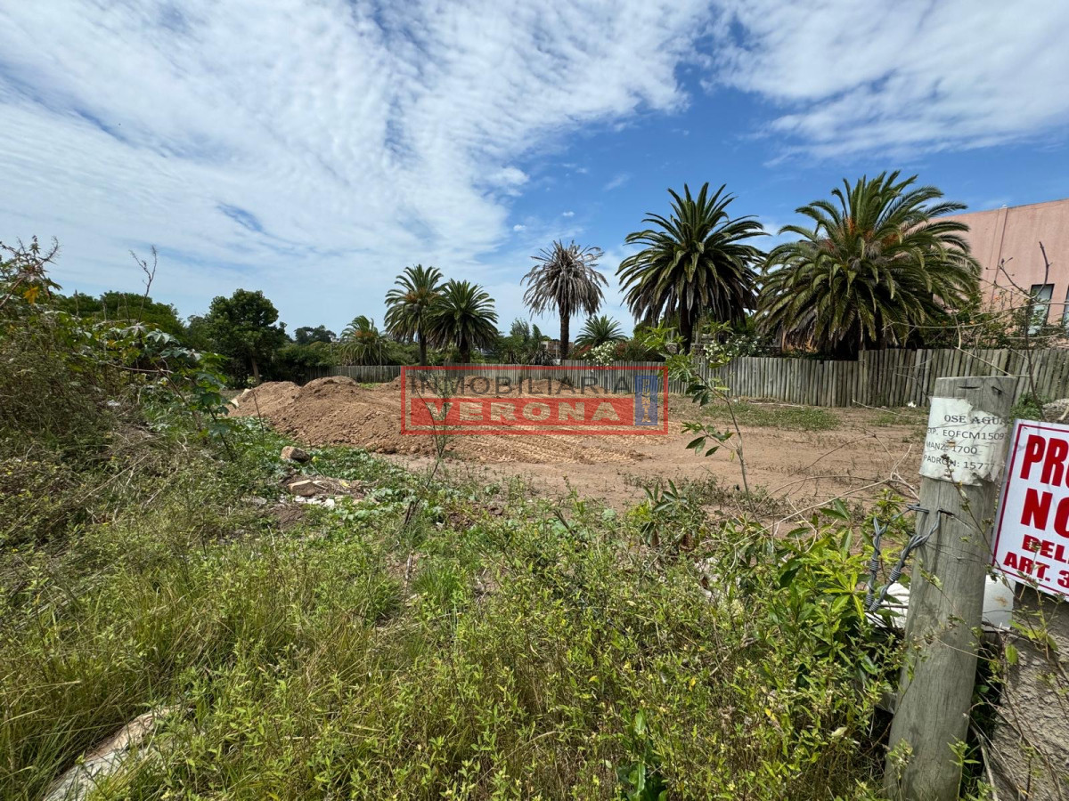 Las Grutas - GoPunta - Portal Inmobiliario de Punta del Este - Maldonado