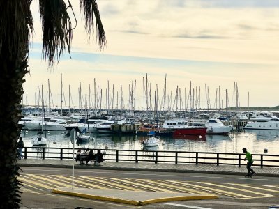 puerto de punta del este, Primera línea 