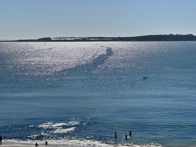 PRIMERA LINEA MANSA - ESPECTACULAR PLANTA