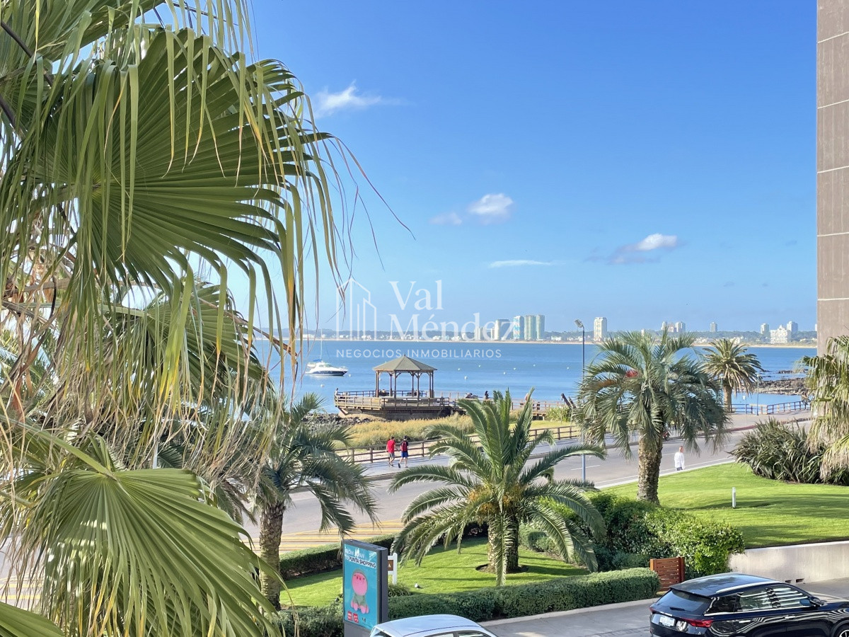 Apartamento ID.1516 - VENTA DE APARTAMENTO EN PUNTA DEL ESTE, zona PUERTO