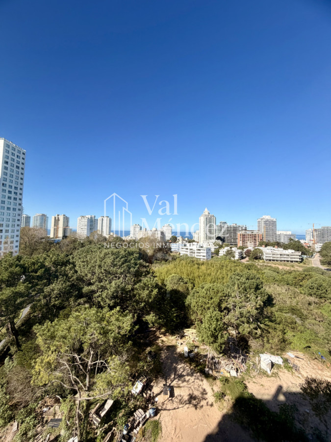 Apartamento ID.3882 - APARTAMENTO EN VENTA EN BRAVA, PUNTA DEL ESTE