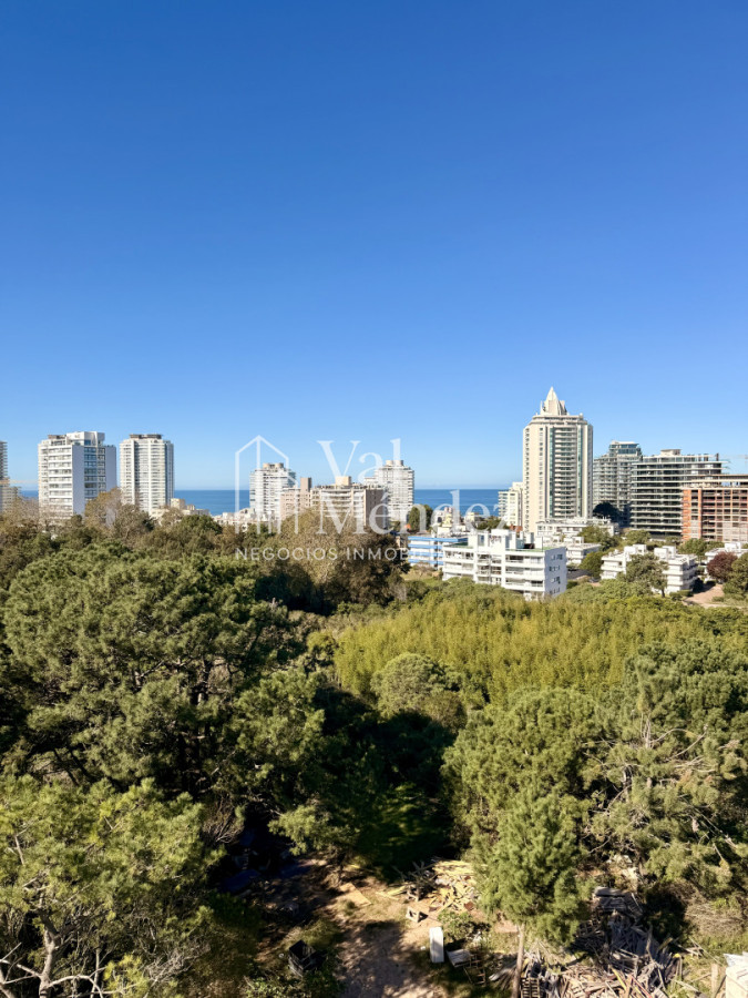 Apartamento ID.3882 - APARTAMENTO EN VENTA EN BRAVA, PUNTA DEL ESTE