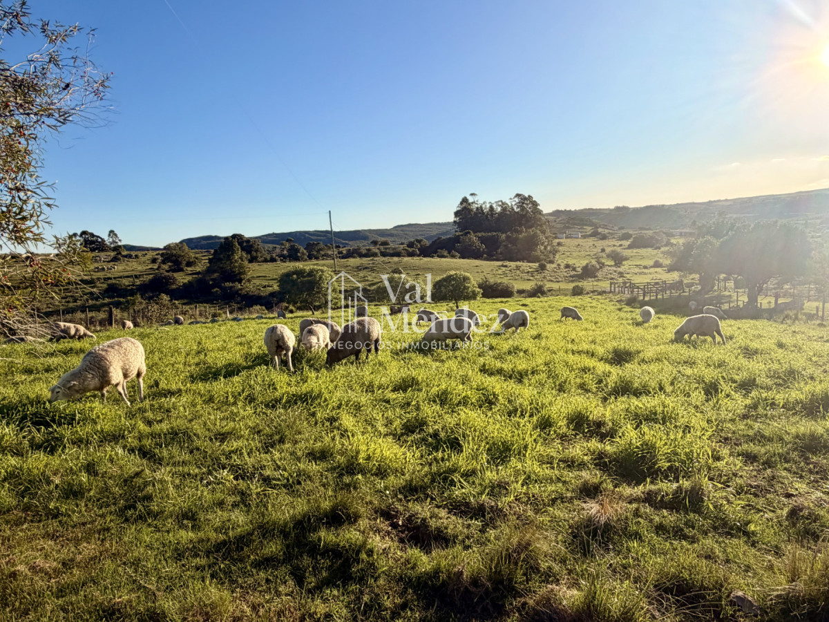 Chacra ID.3872 - CHACRA EN VENTA, ENTRE MALDONADO Y MINAS